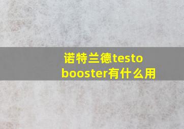 诺特兰德testo booster有什么用